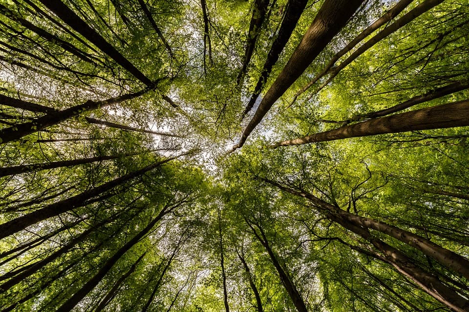 CNPE aprova resolução que integra Programa Mover e RenovaBio