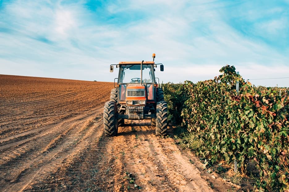 Finep lança Programa CooperaMais com R$ 220 milhões para impulsionar a inovação na agricultura familiar e aquicultura